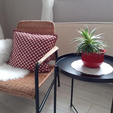 メッヒャーニッヒHaus Muehlenbachアパートメント エクステリア 写真