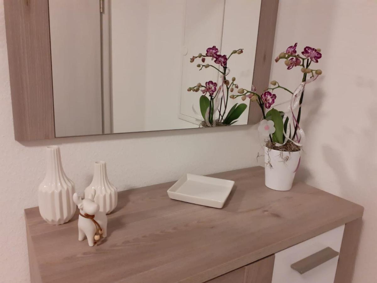 メッヒャーニッヒHaus Muehlenbachアパートメント エクステリア 写真