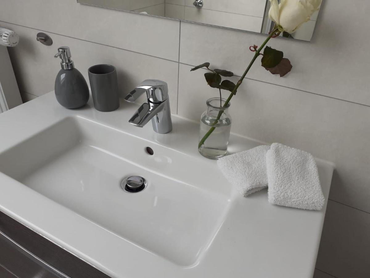 メッヒャーニッヒHaus Muehlenbachアパートメント エクステリア 写真