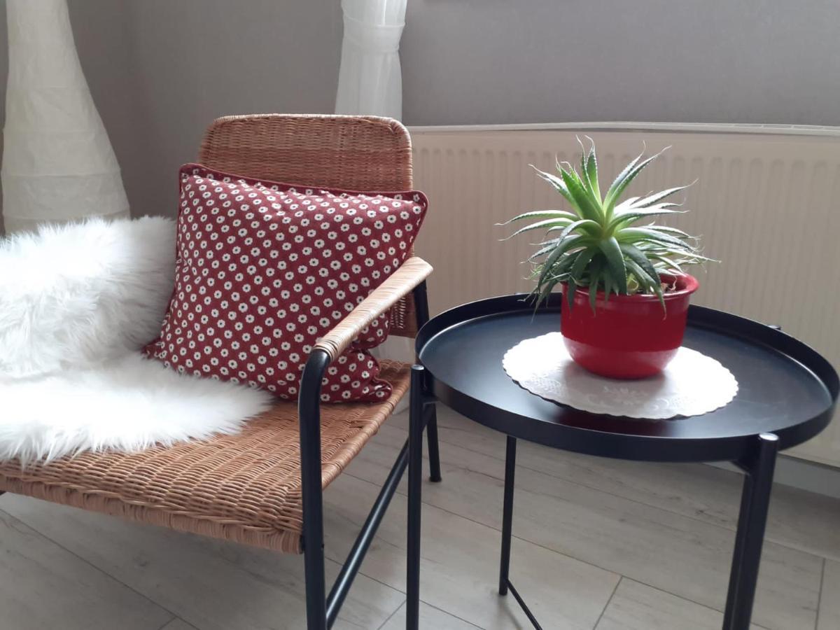 メッヒャーニッヒHaus Muehlenbachアパートメント エクステリア 写真